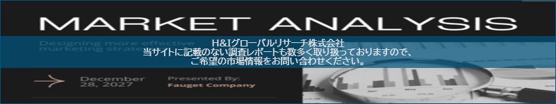 市場調査レポートのイメージ