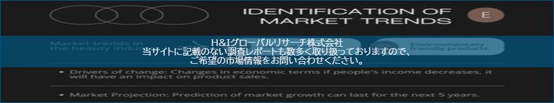 市場調査レポートのイメージ