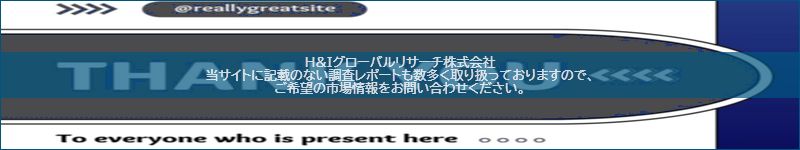 市場調査レポートのイメージ