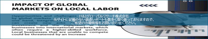 市場調査レポートのイメージ