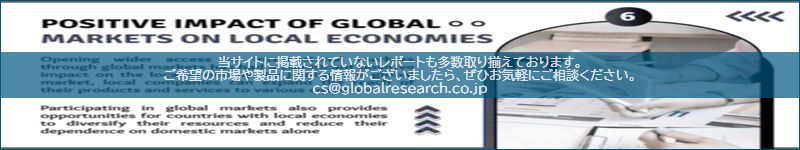 市場調査レポートのイメージ