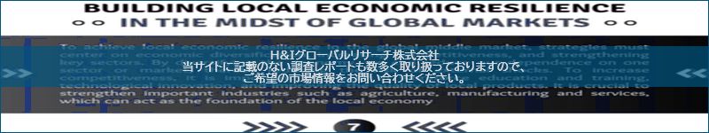 市場調査レポートのイメージ