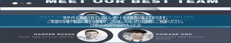 市場調査レポートのイメージ