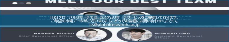 市場調査レポートのイメージ