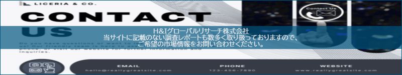 市場調査レポートのイメージ