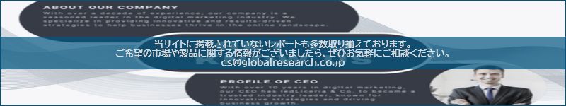 市場調査レポートのイメージ