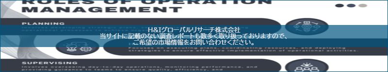 市場調査レポートのイメージ