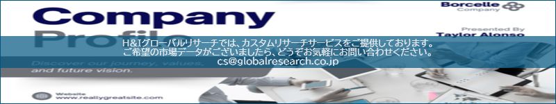 市場調査レポートのイメージ