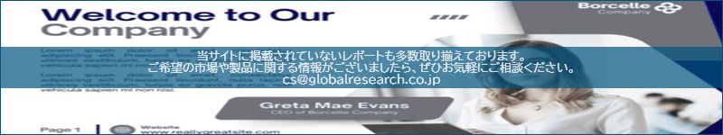 市場調査レポートのイメージ
