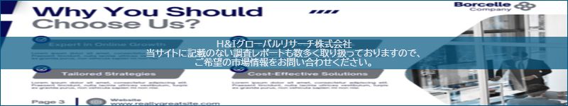 市場調査レポートのイメージ