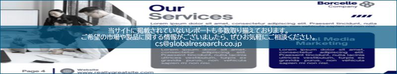 市場調査レポートのイメージ