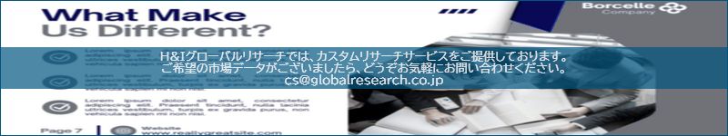 市場調査レポートのイメージ