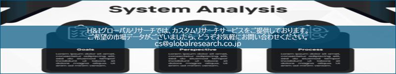 市場調査レポートのイメージ