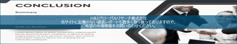 市場調査レポートのイメージ