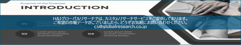 市場調査レポートのイメージ