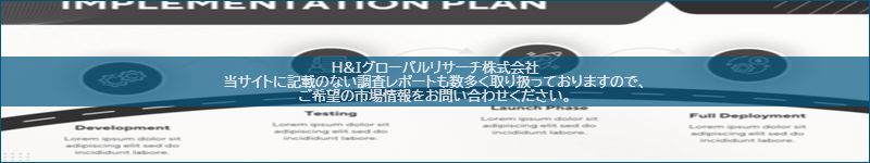 市場調査レポートのイメージ