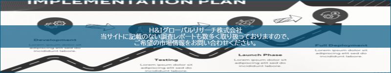 市場調査レポートのイメージ