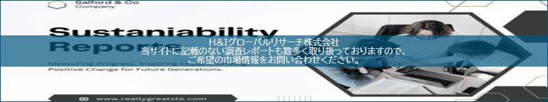 市場調査レポートのイメージ