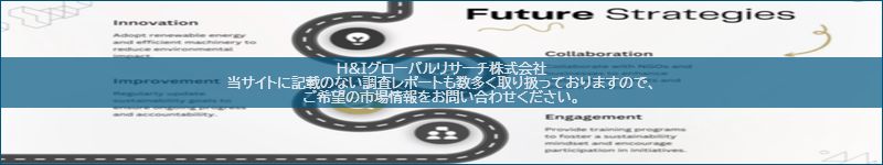 市場調査レポートのイメージ
