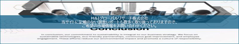市場調査レポートのイメージ