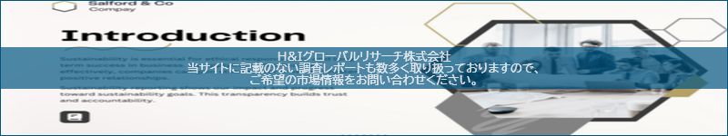 市場調査レポートのイメージ
