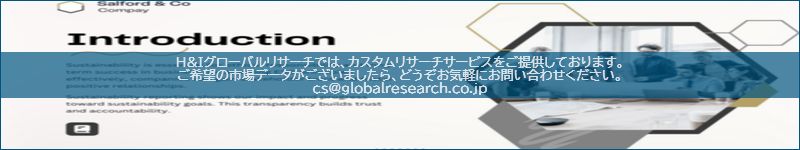 市場調査レポートのイメージ