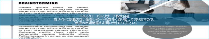 市場調査レポートのイメージ