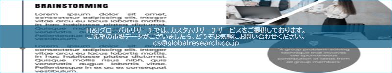 市場調査レポートのイメージ