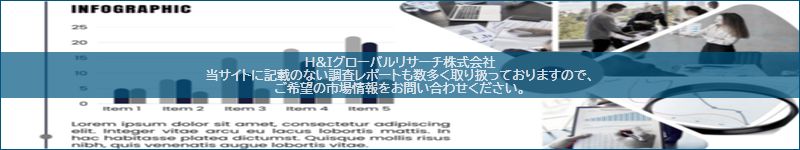 市場調査レポートのイメージ