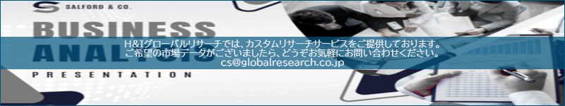 市場調査レポートのイメージ