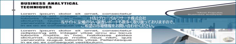 市場調査レポートのイメージ
