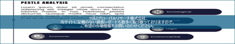 市場調査レポートのイメージ