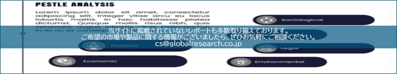 市場調査レポートのイメージ