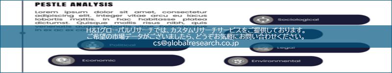 市場調査レポートのイメージ