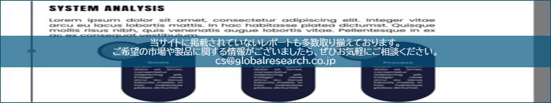 市場調査レポートのイメージ