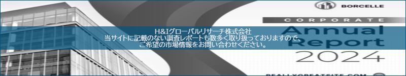 市場調査レポートのイメージ