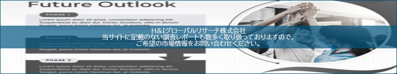 市場調査レポートのイメージ