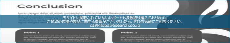 市場調査レポートのイメージ