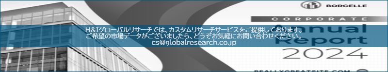 市場調査レポートのイメージ