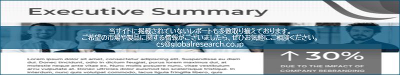市場調査レポートのイメージ