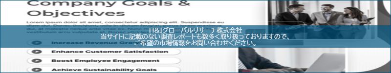 市場調査レポートのイメージ