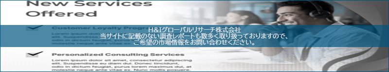 市場調査レポートのイメージ