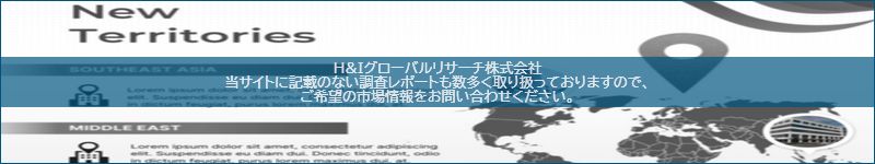 市場調査レポートのイメージ