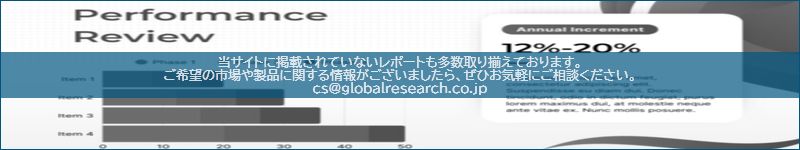 市場調査レポートのイメージ