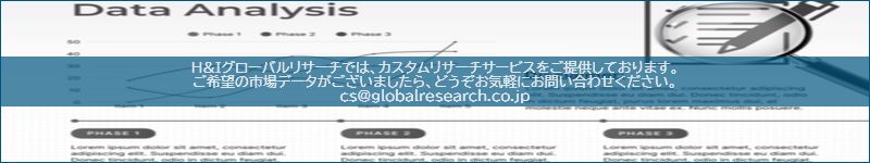 市場調査レポートのイメージ