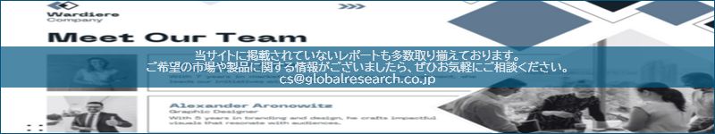 市場調査レポートのイメージ