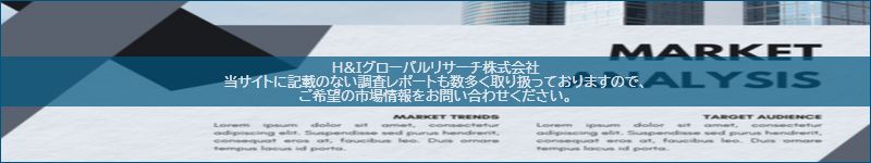 市場調査レポートのイメージ