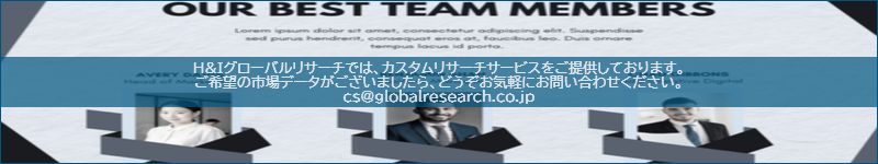 市場調査レポートのイメージ