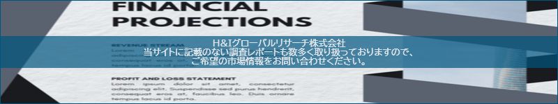 市場調査レポートのイメージ