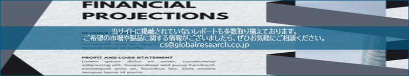 市場調査レポートのイメージ